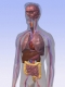 analyza-tela-bioimpedacnym-pristrojom