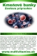 kmenove-bunky-aktivacia-kmenovych-buniek